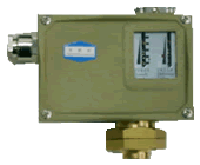 D500/7DK壓力控制器